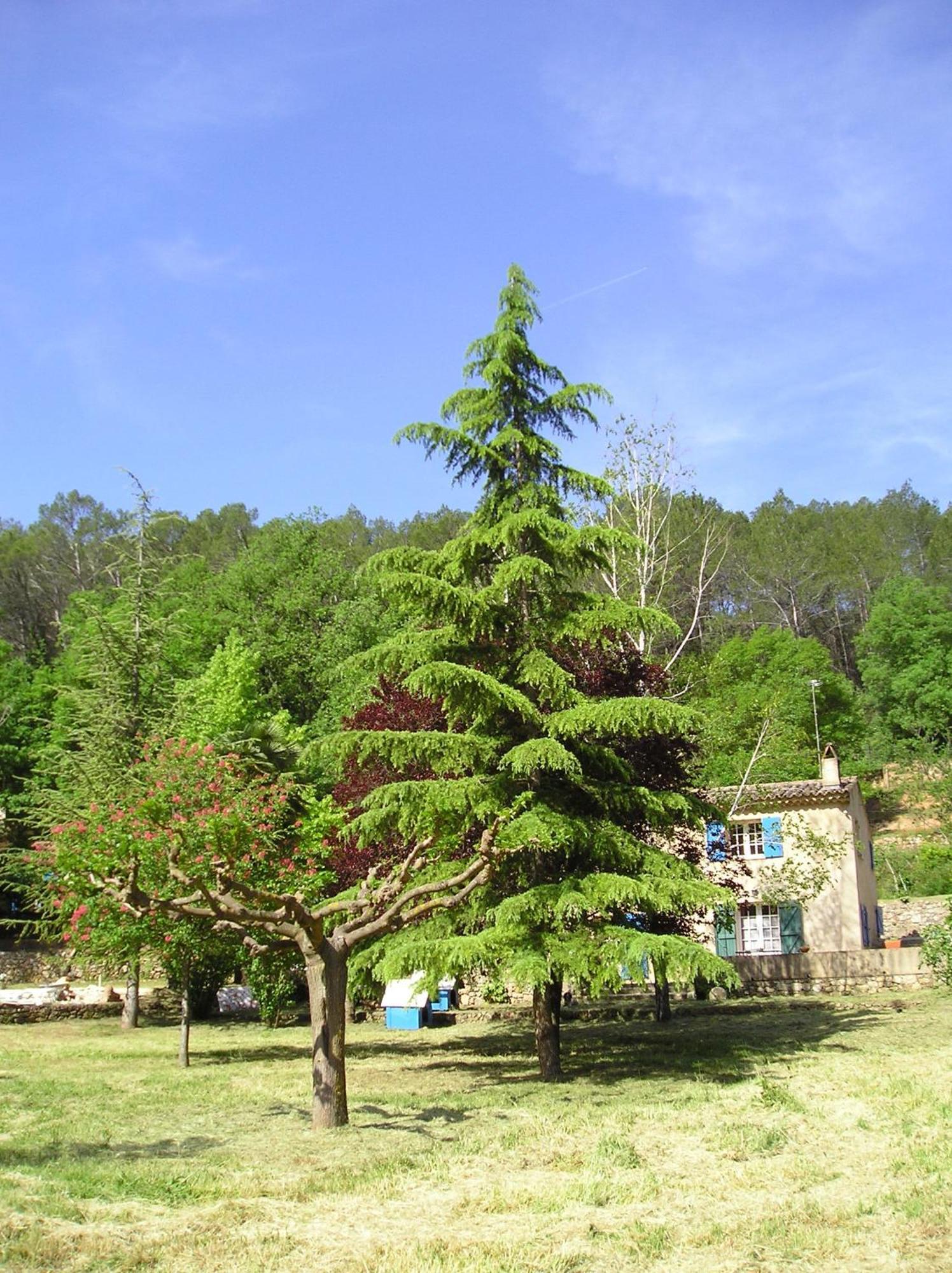 Domaine De La Provenc'Ane Villa Salernes Phòng bức ảnh